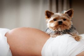 孕妇吃艾叶好吗（孕期吃艾叶）