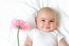 孕妇叶酸低吃什么食物
