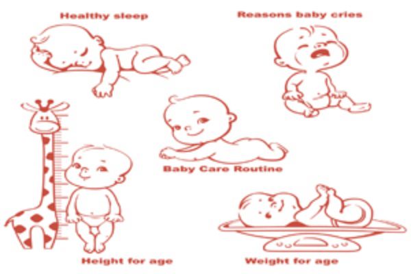 小孩子贫血吃什么水果
